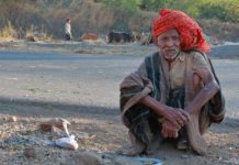 पागल ददवा- स्टोरीलाइन जो आपको बांध सके