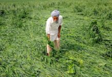 किसानों के सपनों को धो डाला वापस लौटते मानसून के कहर ने
