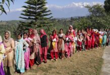 हिमाचल में 1,136 मतदाता ऐसे जो 100 साल पार कर गए