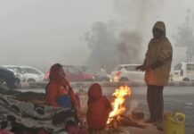 मौसम में घुली ठंडक, दिल्ली से यूपी-बिहार तक शीतलहर ने बढ़ाई ठिठुरन
