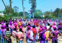 संस्कृति के साथ आर्थिक विकास का भी वाहक बना जनजाति समाज