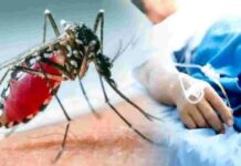 बंगाल में डेंगू ने ली छह लोगों की जान, ढाई हजार संक्रमित