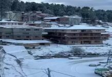 हिमाचल में बारिश और बर्फ़बारी से सूखा का संकट समाप्त, किसानों के खिले चेहरे