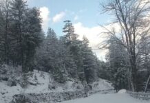 हिमाचल में पड़ रही कड़ाके की ठंड, सात शहरों का पारा माइनस में