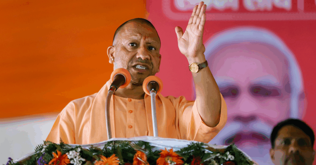 Untitled design (50)