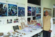 पत्थर के देवता- डॉ. नारायण व्यास