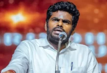 अन्नामलाई ने भाजपा का नहीं,खुद का नुकसान किया