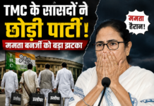 कबूतरों के बाड़े में घुस गई है बिल्ली