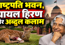 राष्ट्रपति भवन, घायल हिरण और अब्दुल कलाम
